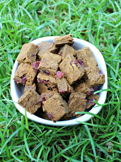 (wheat, gluten, grain and dairy-free, vegan, vegetarian) cranberry ginger pumpkin dog treat/biscuit recipe