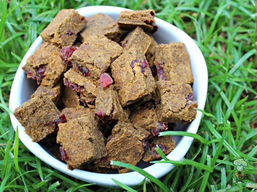 (wheat, gluten, grain and dairy-free, vegan, vegetarian) cranberry ginger pumpkin dog treat/biscuit recipe