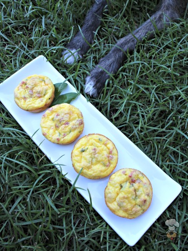 (wheat, gluten and grain-free) bacon & cheese mini-quiche dog treat recipe