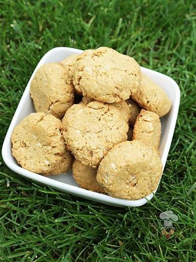 (wheat and dairy-free) sunflower peanut butter dog treat recipe