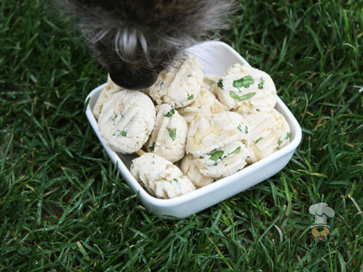 (gluten and wheat-free) creamy chicken cilantro dog treat/biscuit recipe