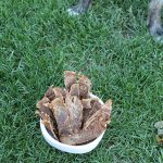 (grain. gluten, wheat and dairy-free) pineapple beef jerky dog treat recipe