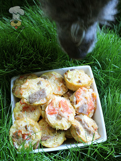 (gluten and dairy-free) tomato beef with eggs dog treat recipe