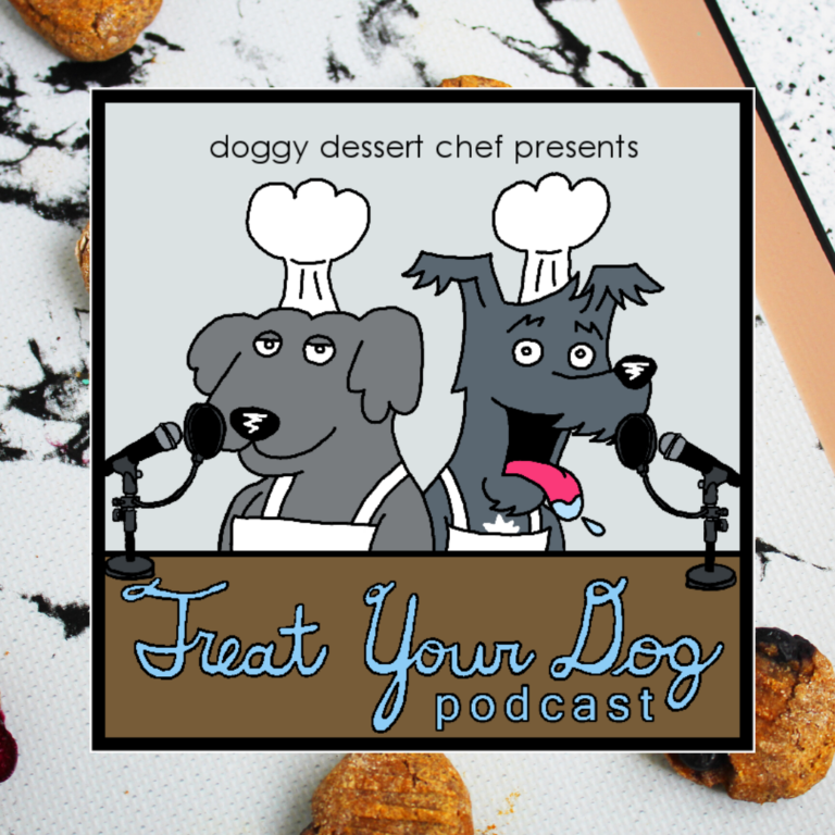 Treat Your Dog Podcast Episode 13 Blueberry Pumpkin