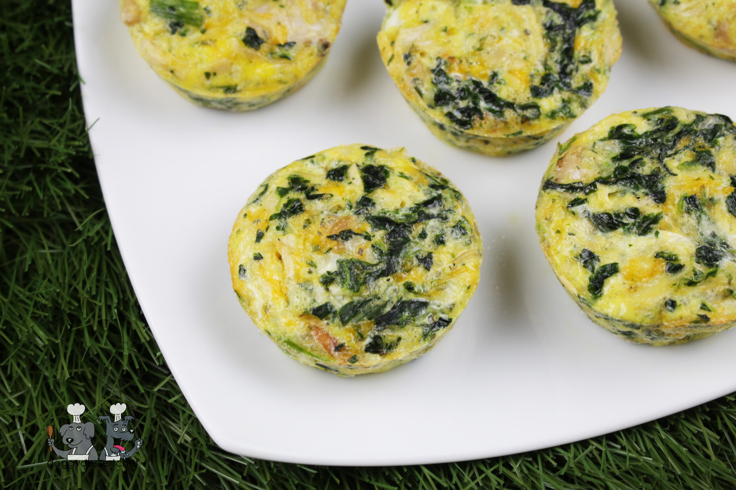 rabbit spinach mini-quiche dog treat recipe