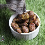 air-fried duck gizzards dog treat recipe