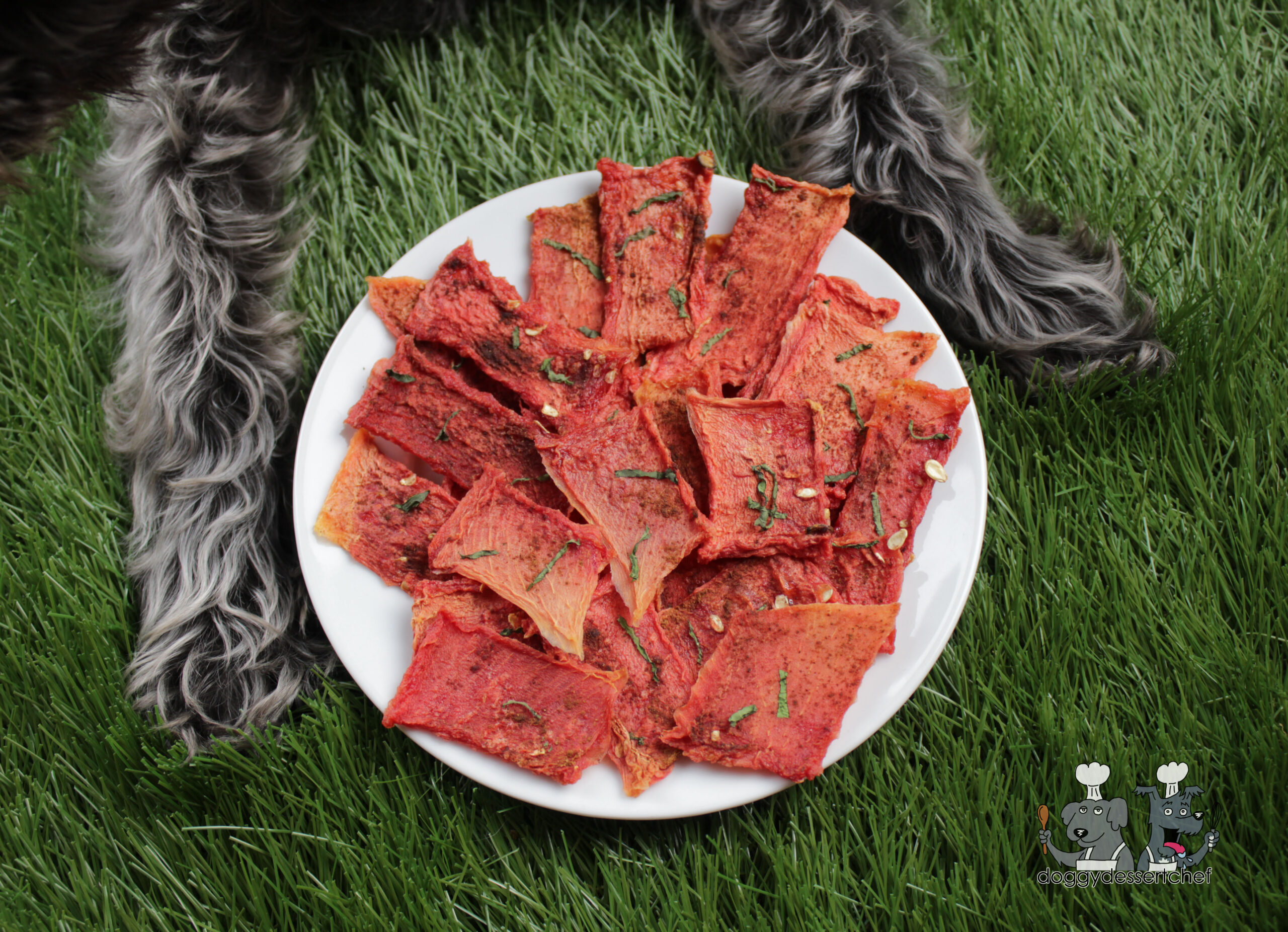 cinnamon mint watermelon dog treat recipe