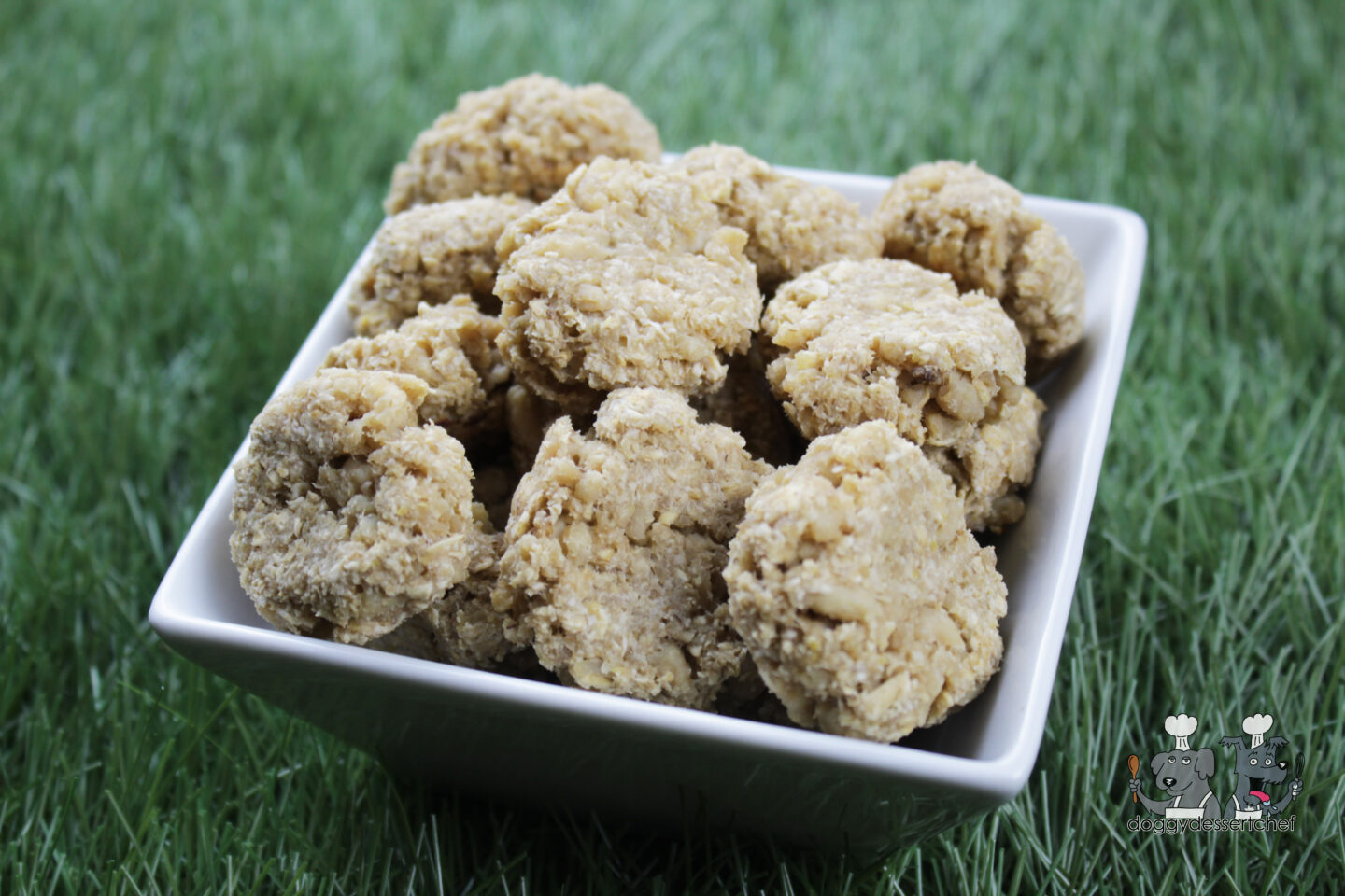 oatmeal apple ground chicken dog treat recipe