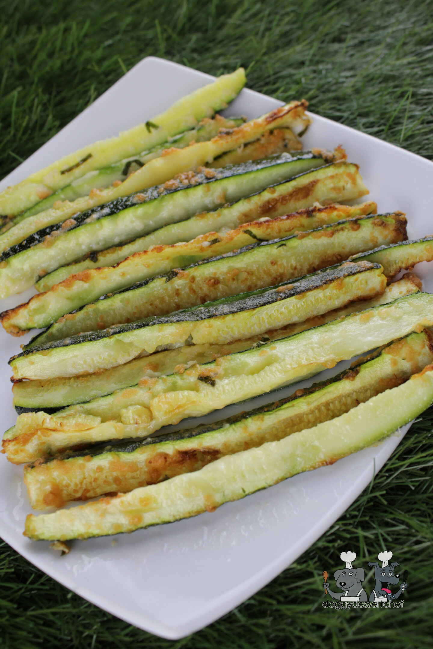 air-fried zucchini fries dog treat recipe