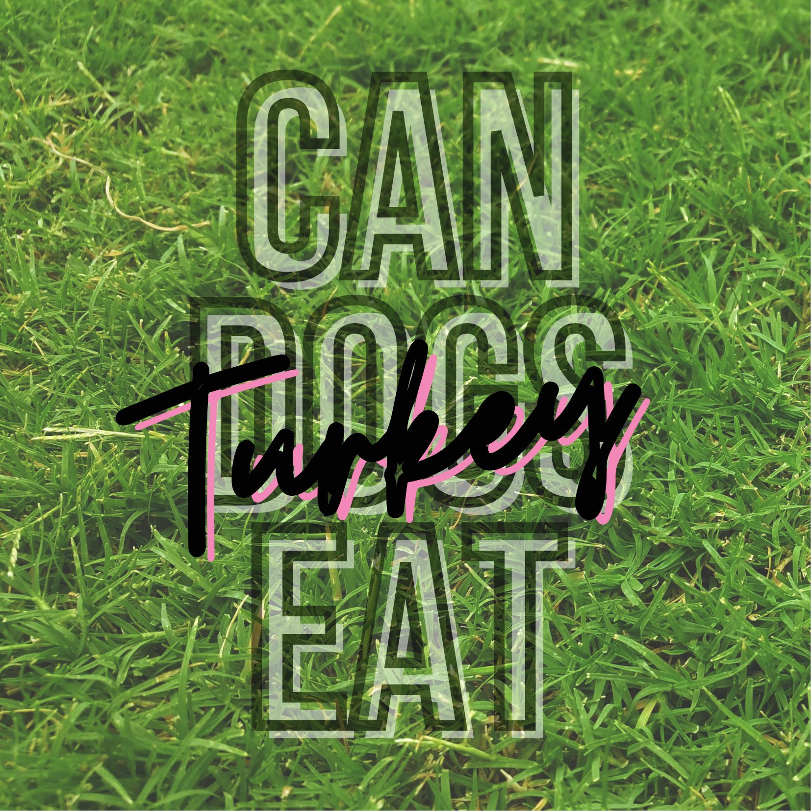 can dogs eat turkey?