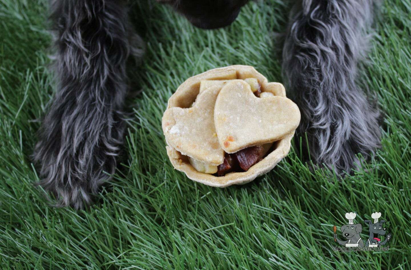 apple bacon cheddar  dog treat recipe