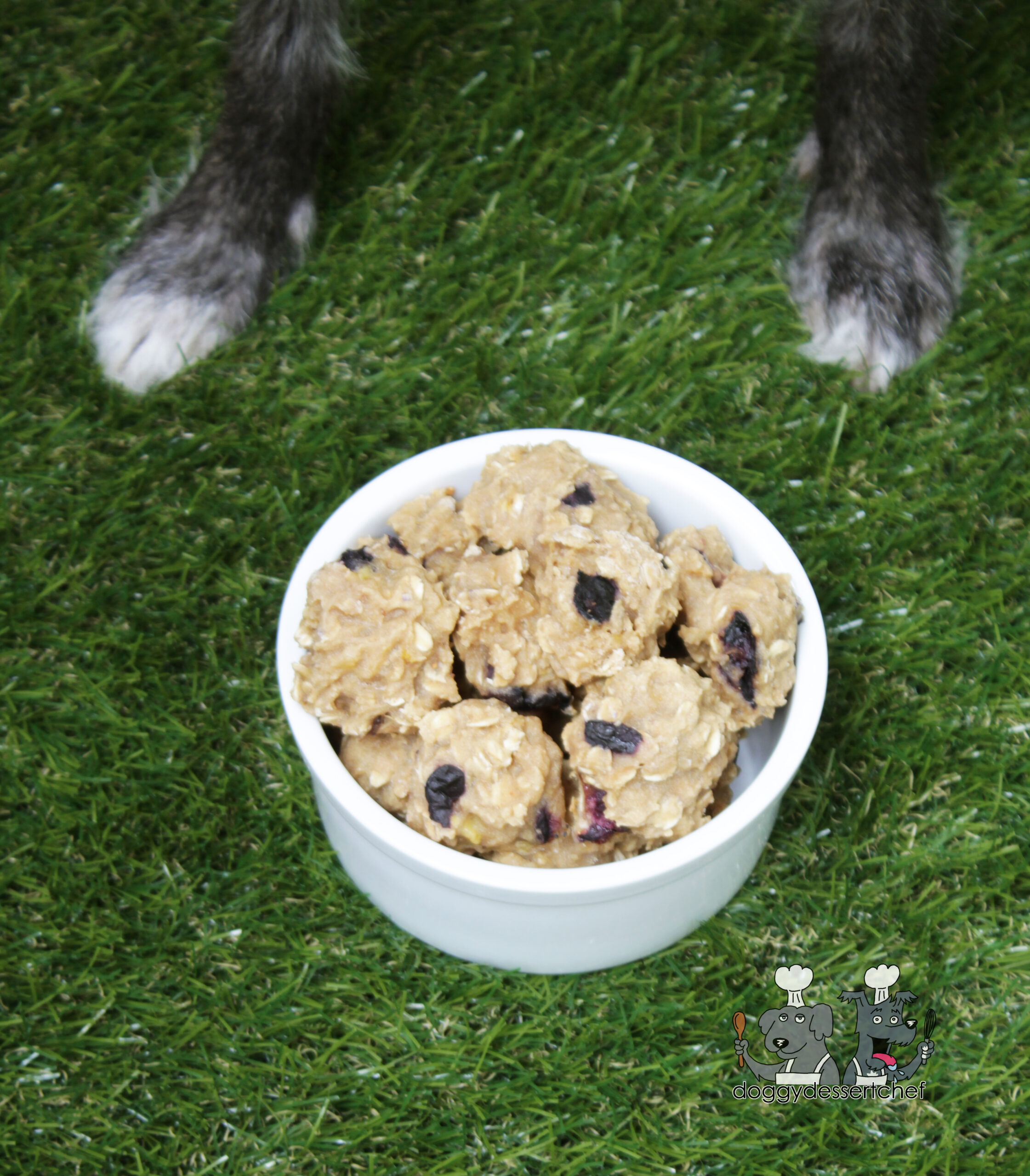 banana and blueberry dog treat recipe