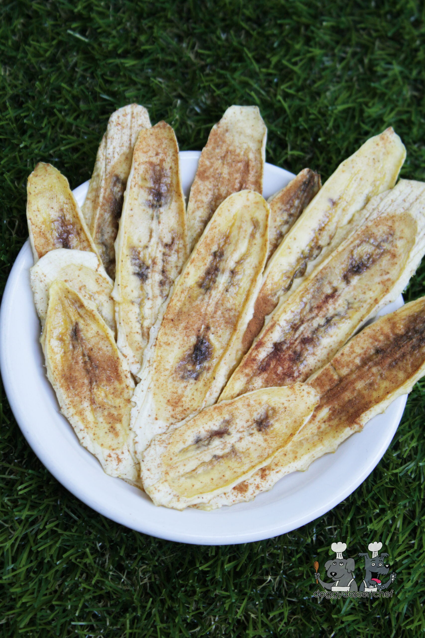 pineapple cinnamon banana dog treat recipe