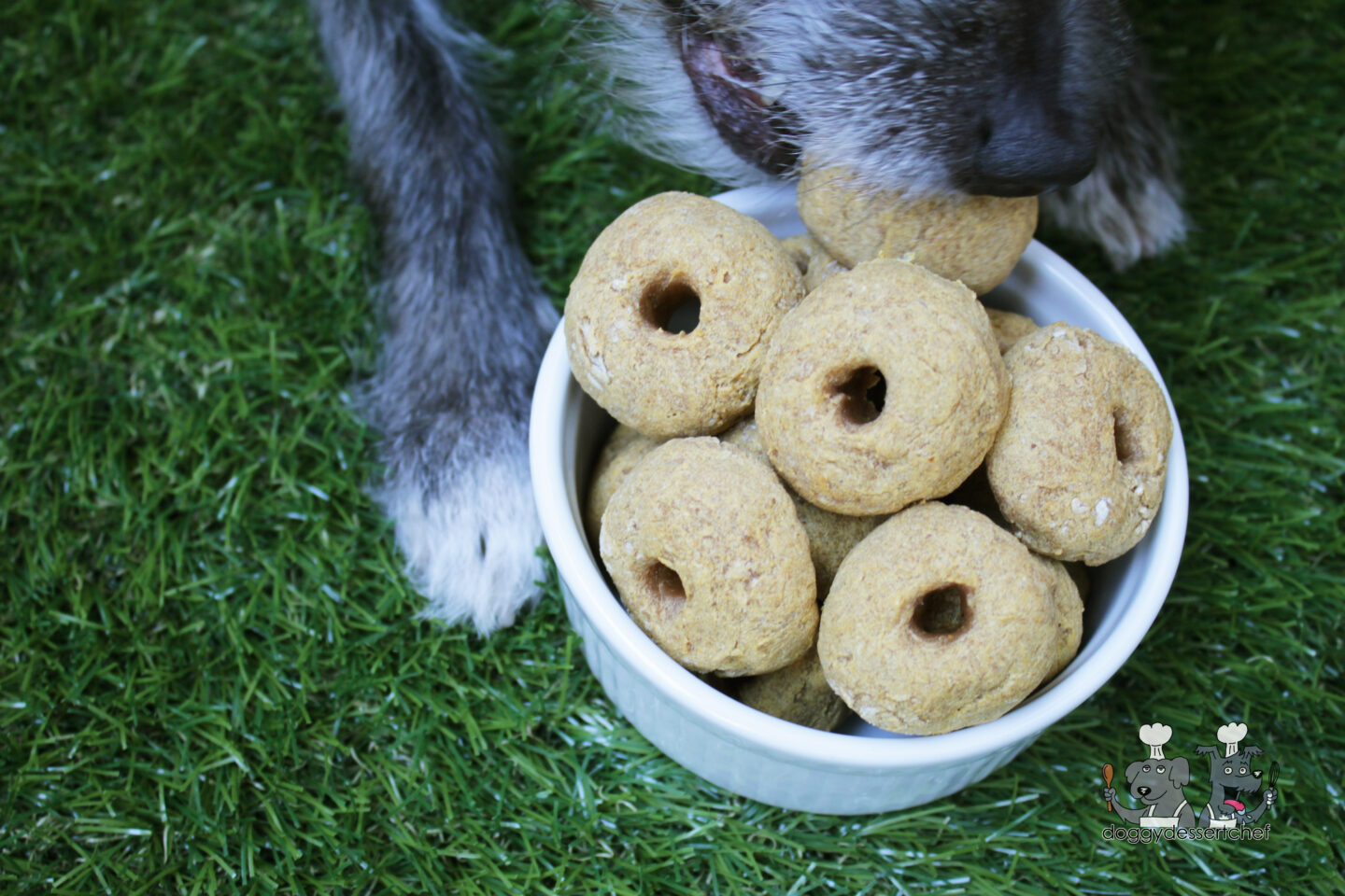 pumpkin apple bagels dog treat recipe