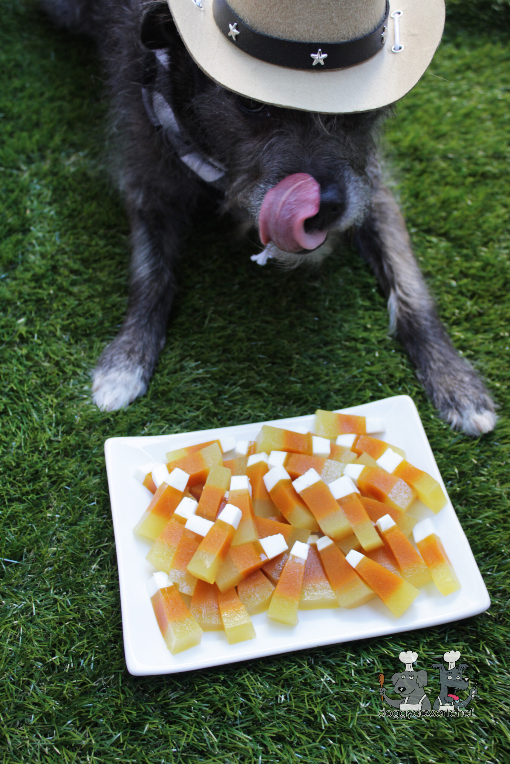 gummy candy corn dog treat recipe