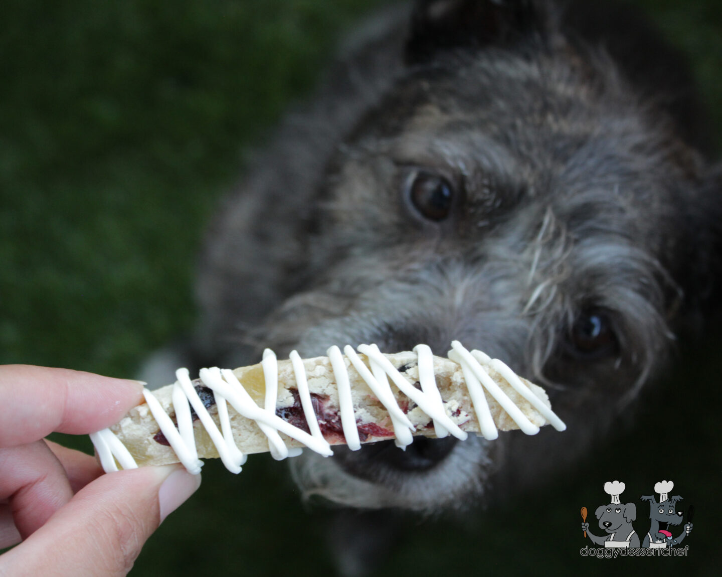 Jeweled Biscotti Dog Treat Recipe