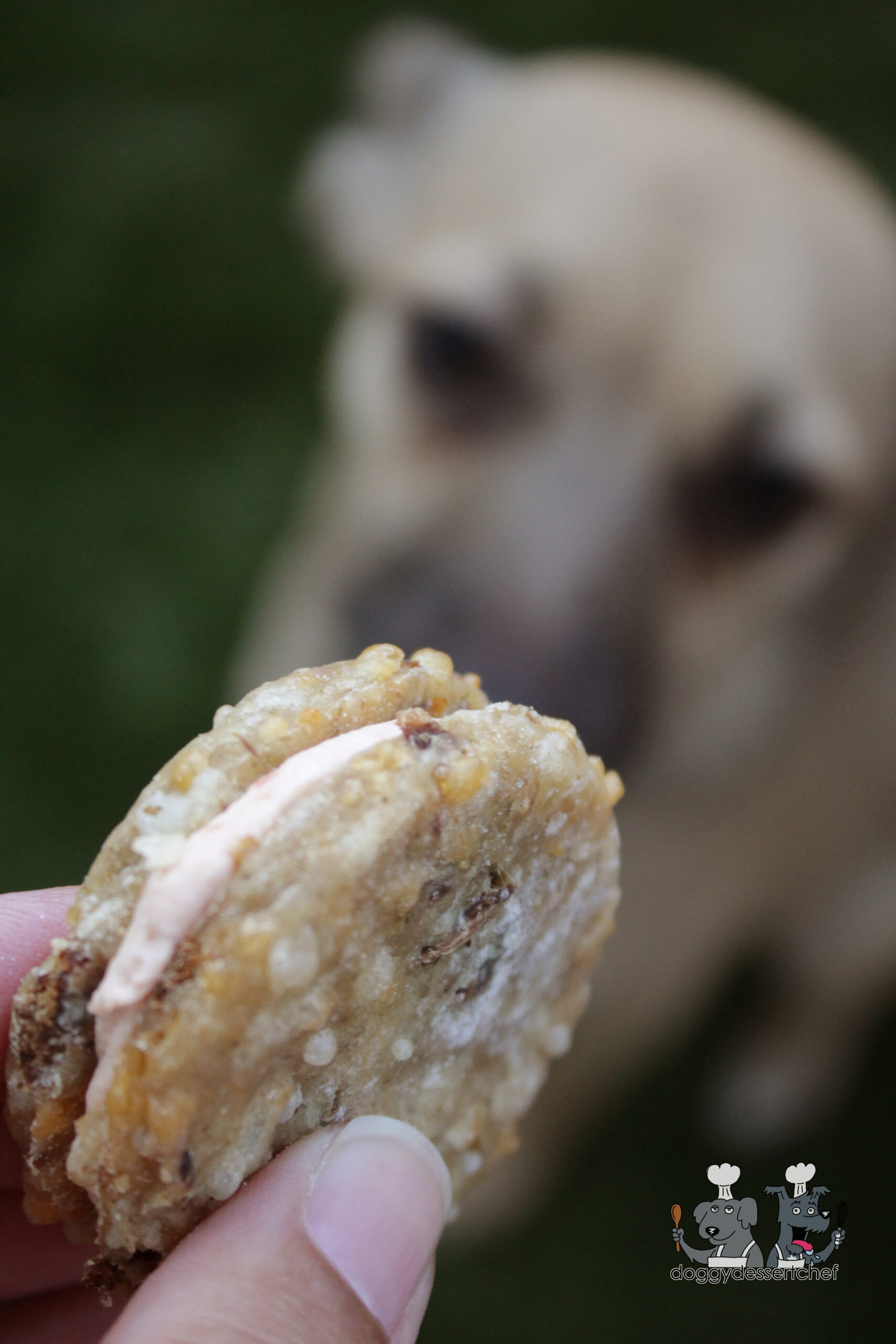 Philly Cheesesteak Dog Treat Recipe