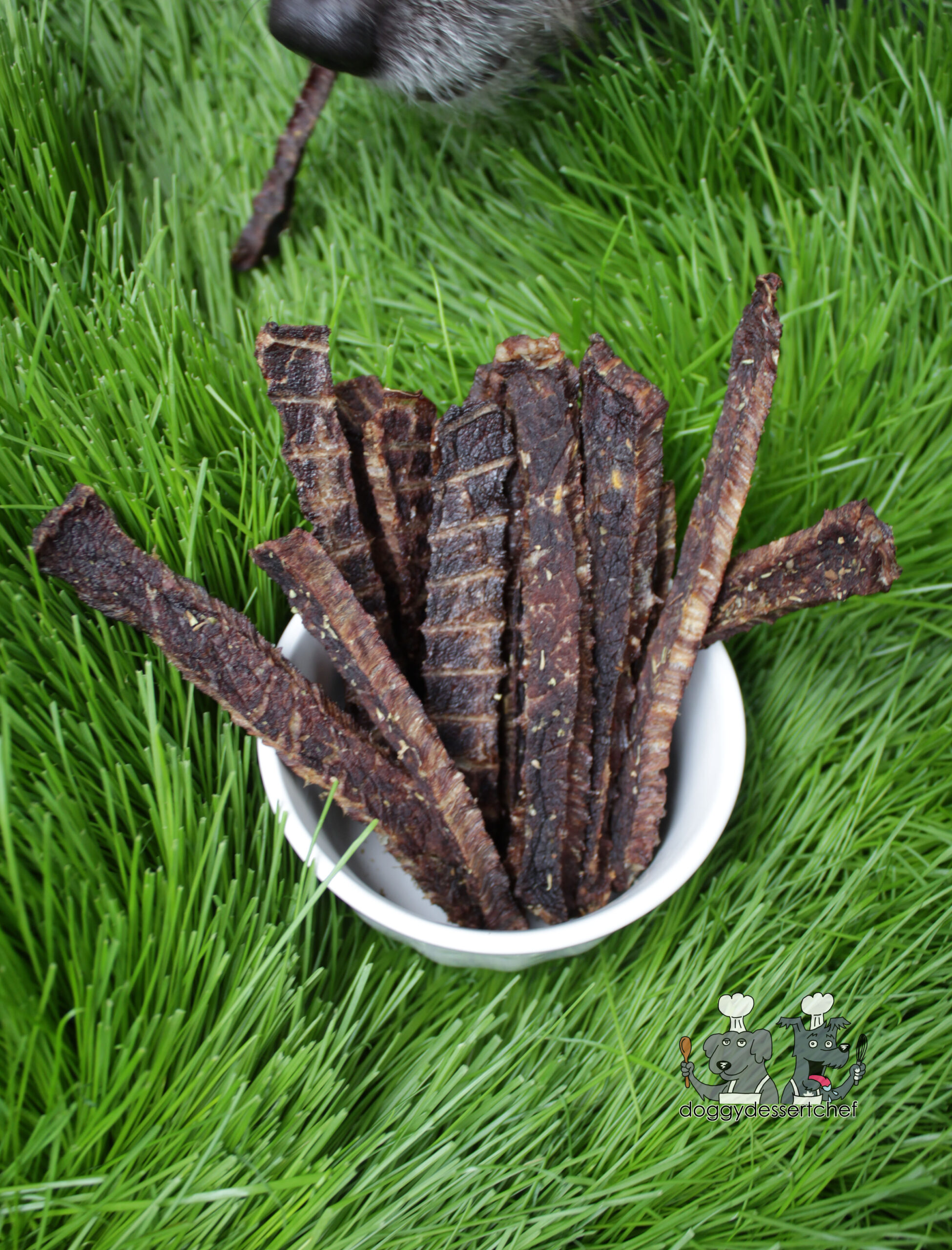 mango beef jerky dog treat recipe