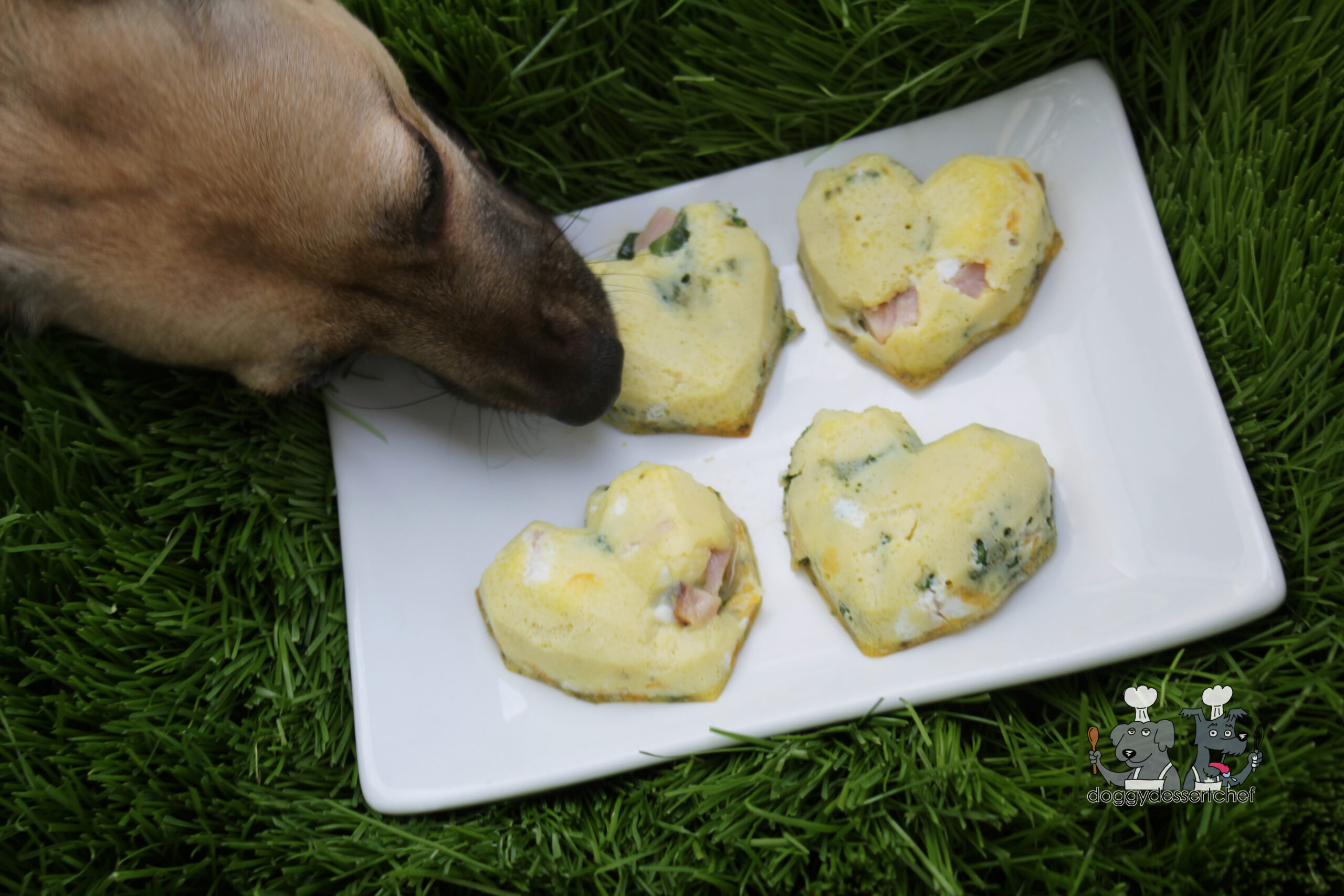 breakfast bites dog treat recipe