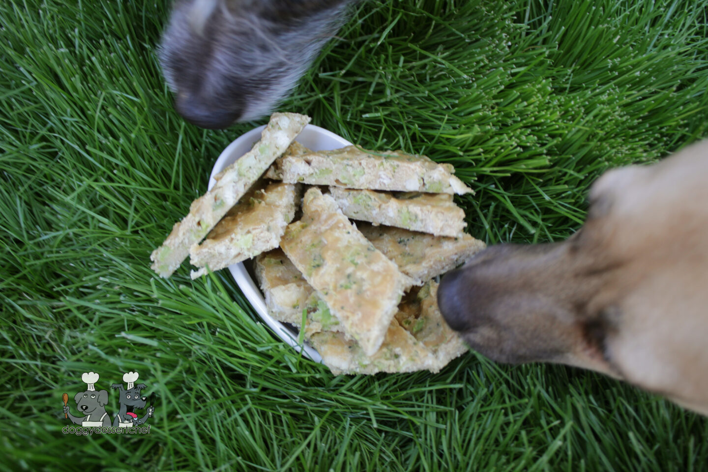 broccoli chicken dog treat recipe