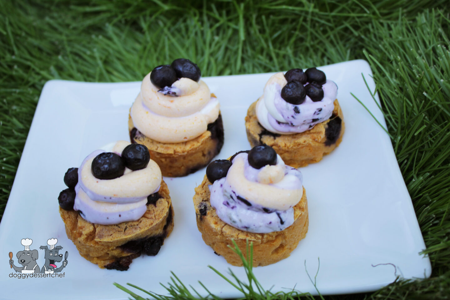 Blueberry dog hot sale cake