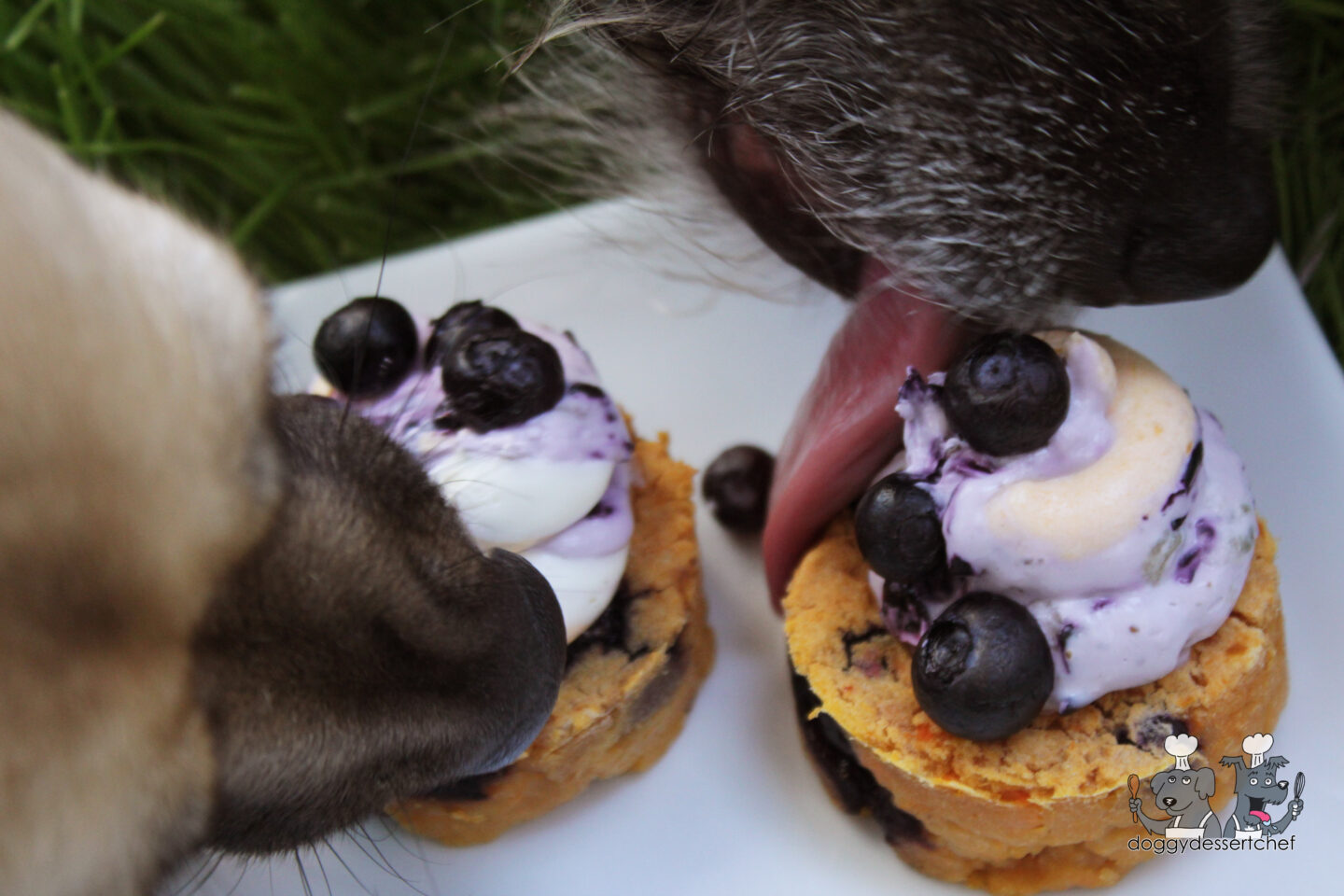 Blueberry & Sweet Potato Pupcakes Dog Treat Recipe
