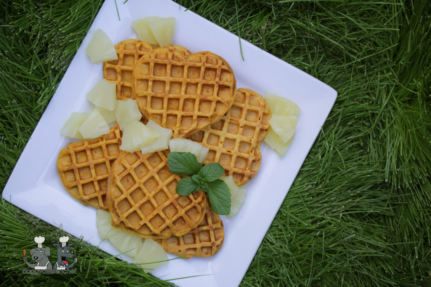 Waffles for my Sweet Dog Treat Recipe