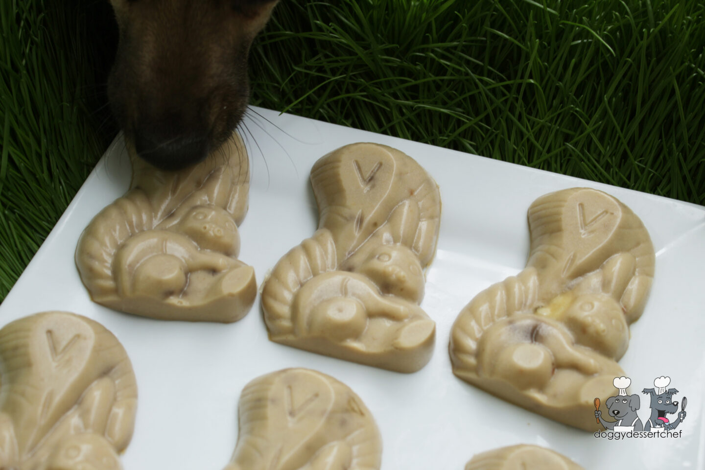 Gummy Dog Treat Recipe