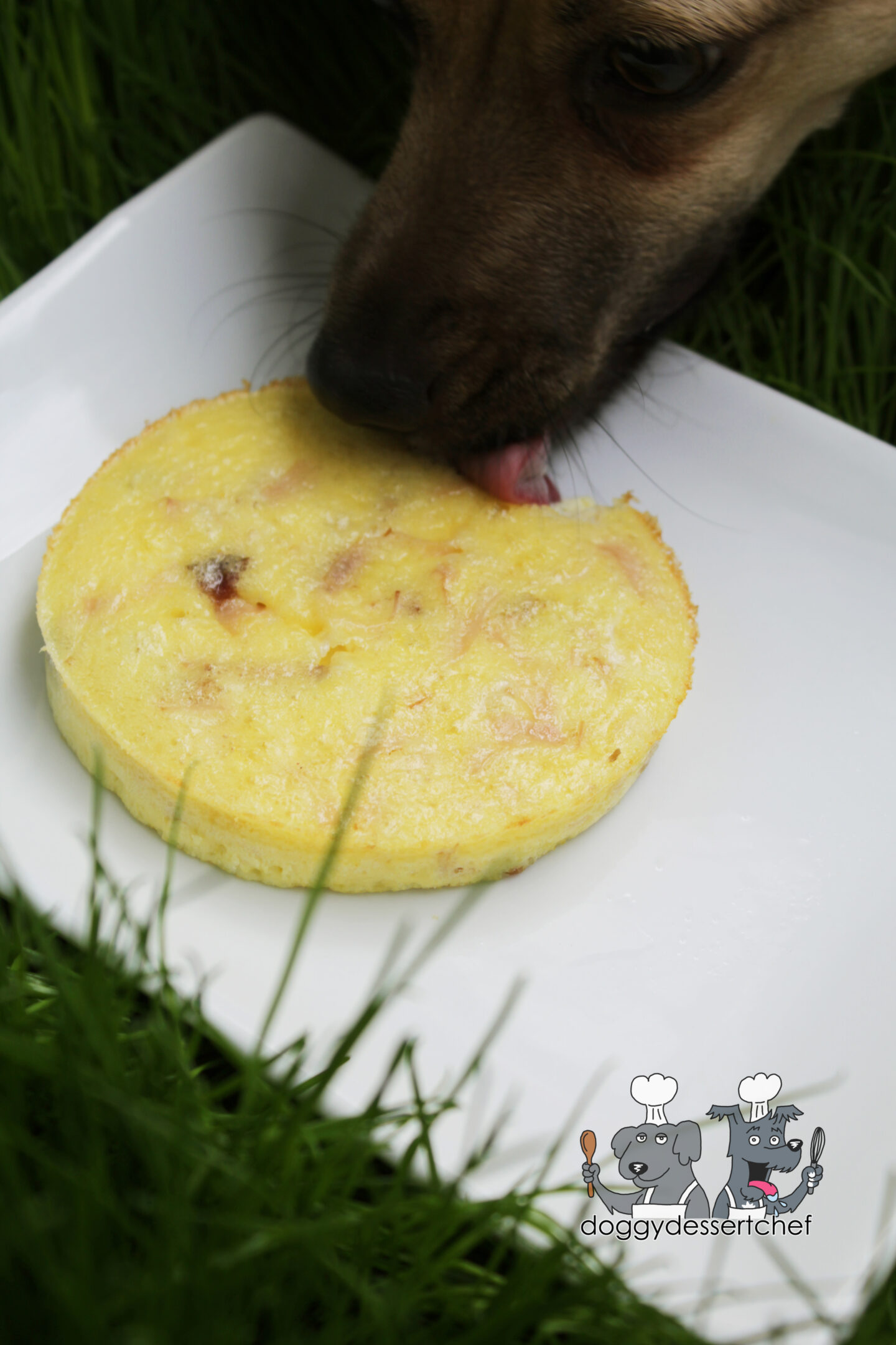 Pork & Duck Egg Quiche Dog treat Recipe