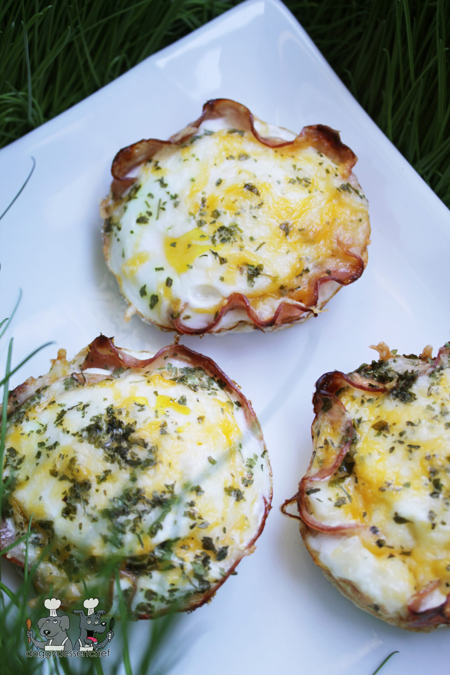 Ham and Egg Cups Dog Treat Recipe