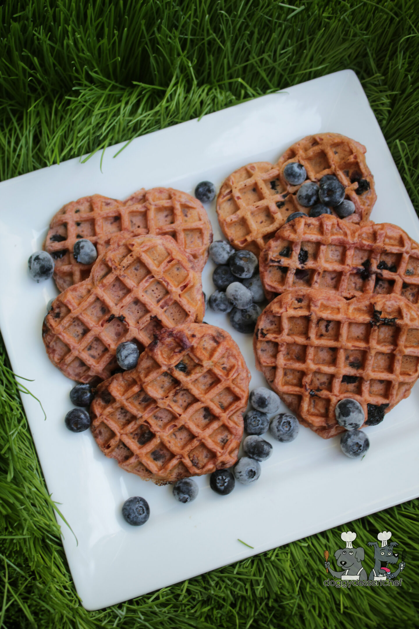 beet waffles dog treat recipe