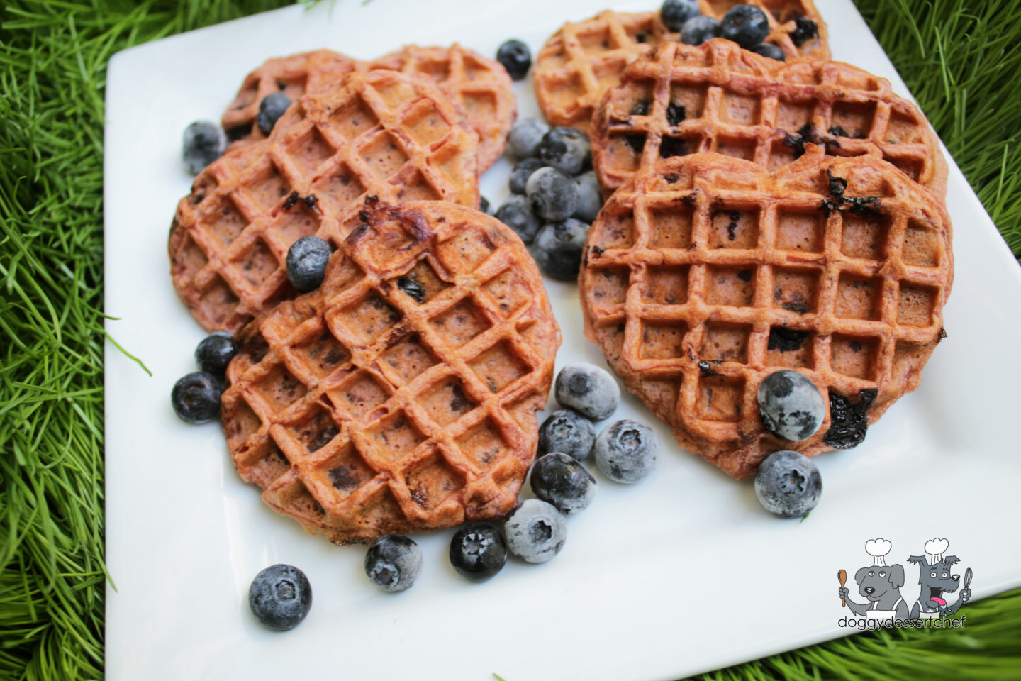 beet waffles dog treat recipe