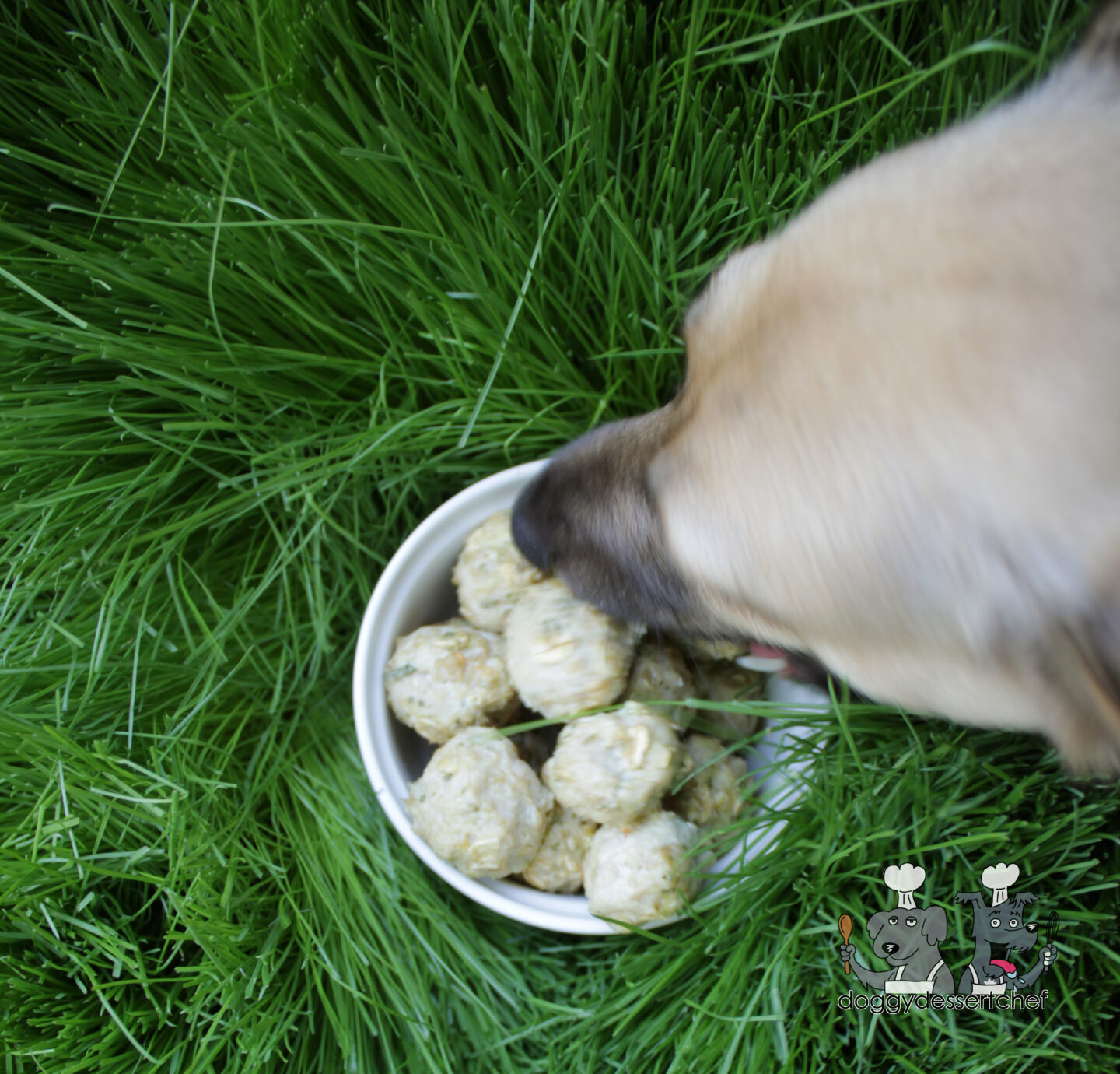 Turkey Sage Meatballs Dog Treat Recipe