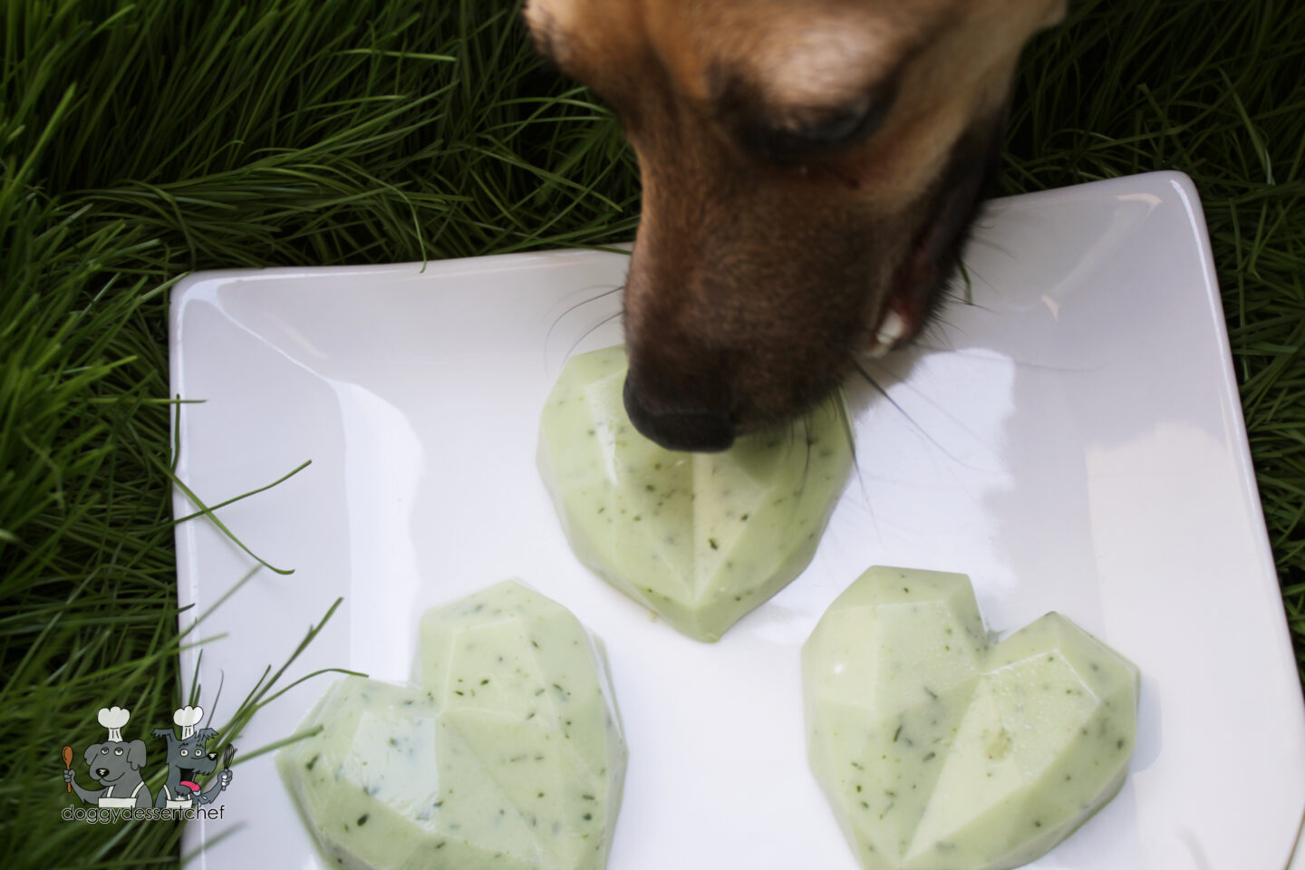 Gummy Cucumber and Goat Cheese Dog Treat Recipe