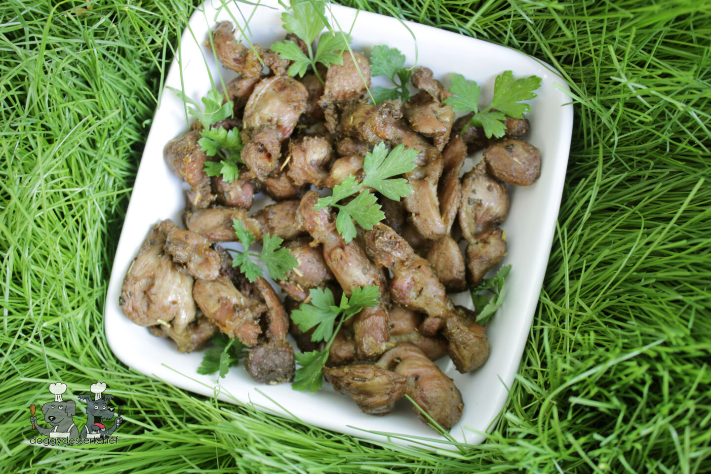 Air-Fried Chicken Gizzards Dog Treat Recipe
