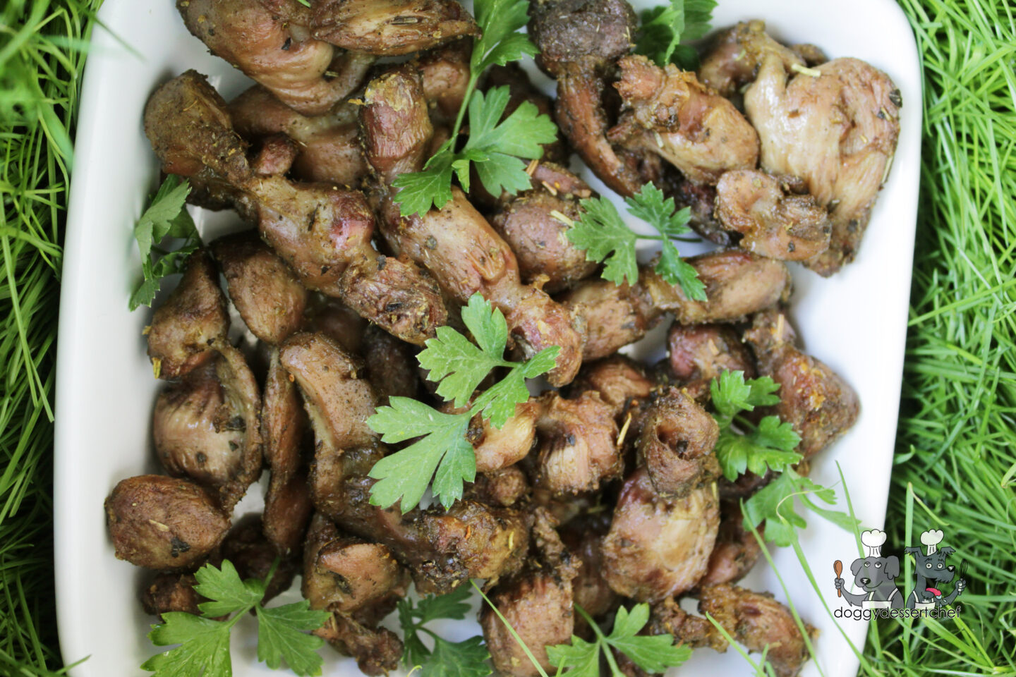 Air-Fried Chicken Gizzards Dog Treat Recipe