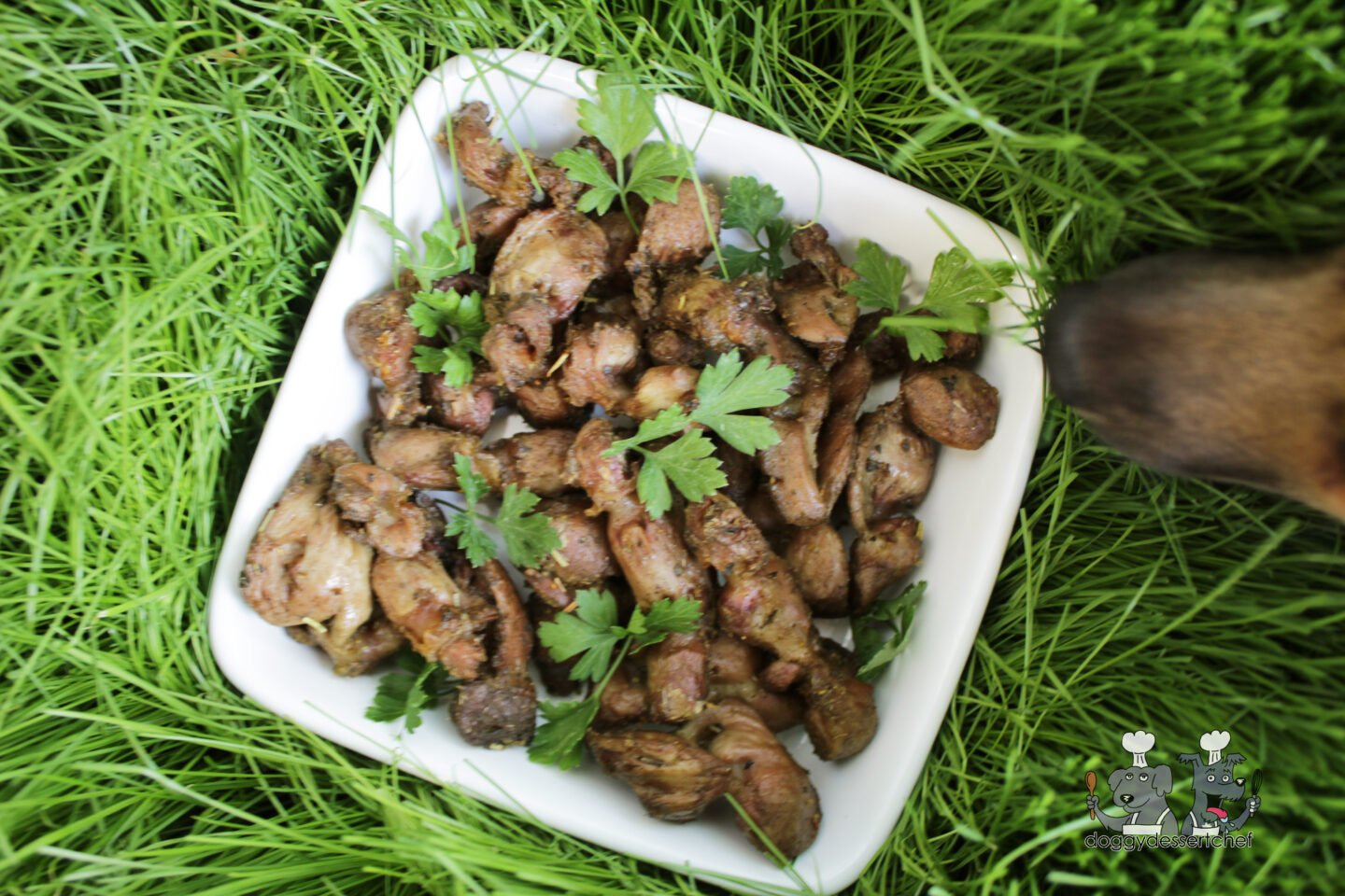 Air-Fried Chicken Gizzards Dog Treat Recipe