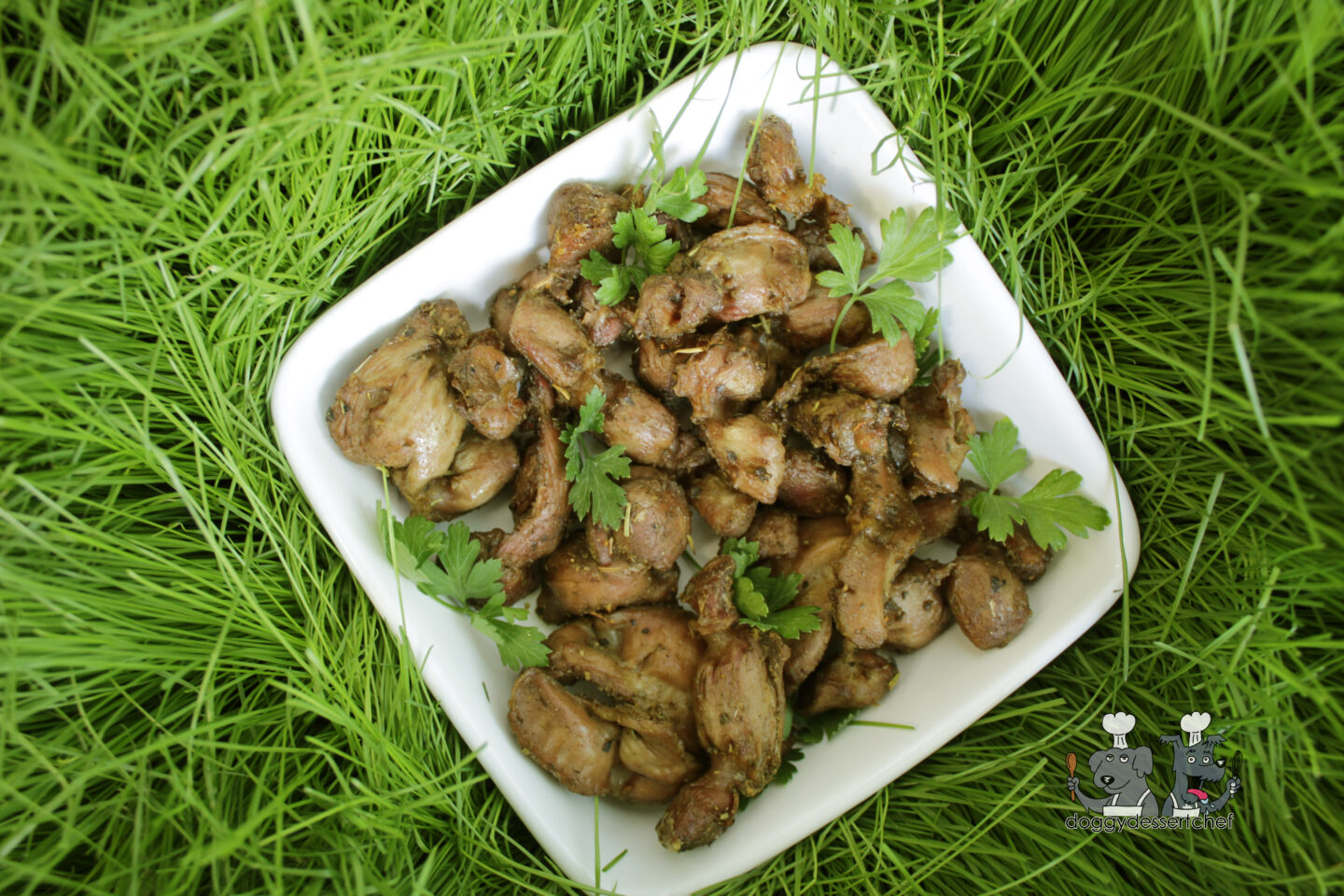 Air-Fried Chicken Gizzards Dog Treat Recipe
