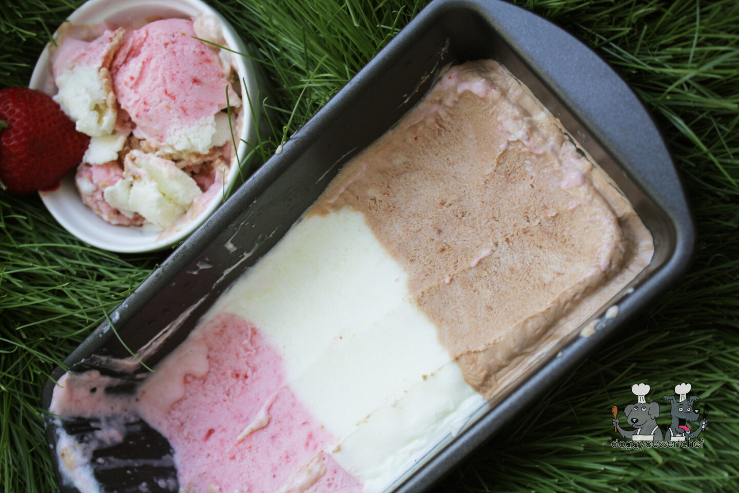 neapolitan frozen dog treat recipe