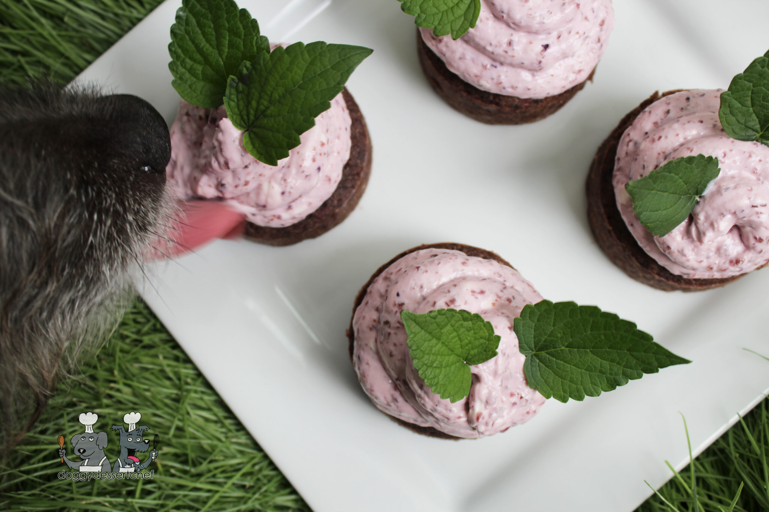 Beets & Berries Pupcakes Dog Treat Recipe