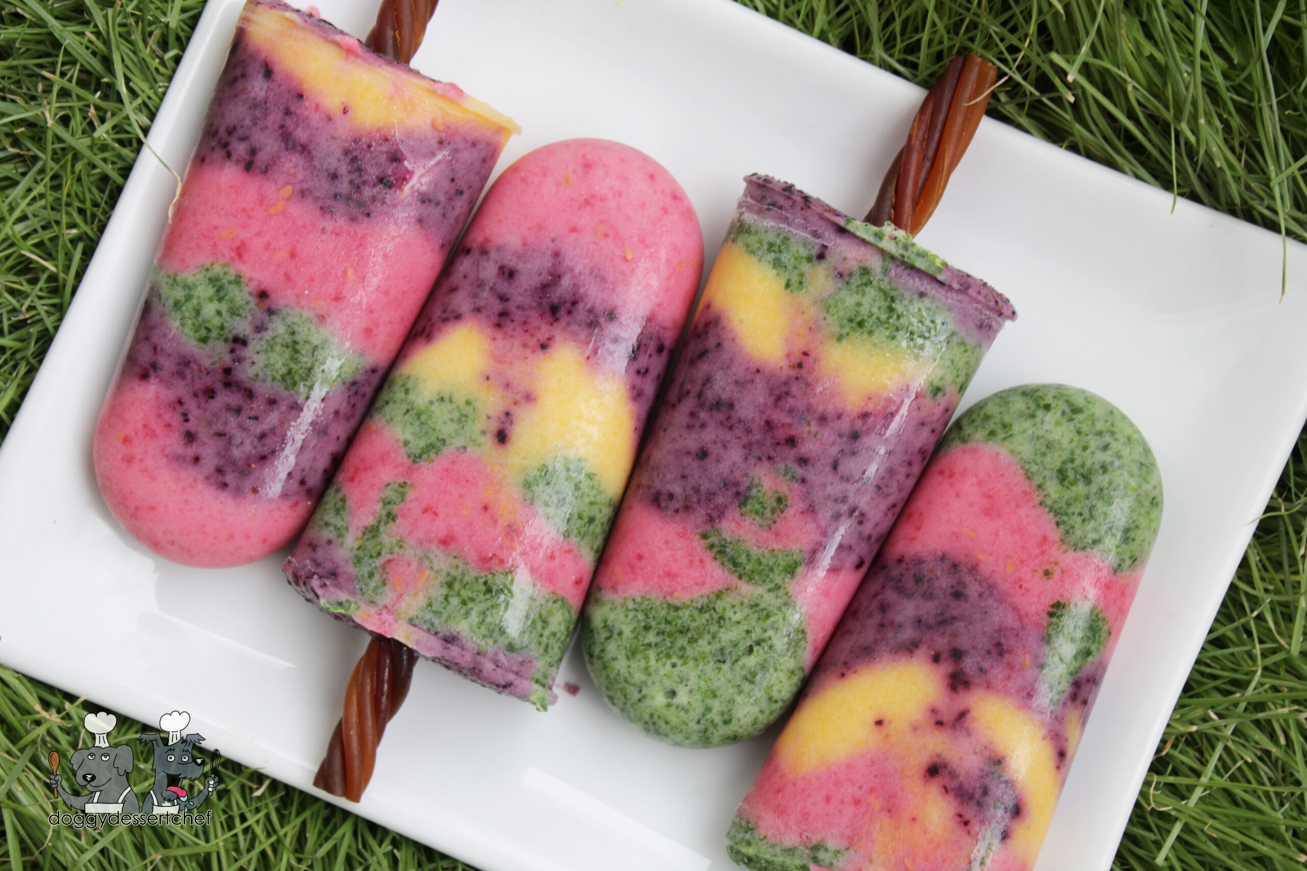 Rainbow Popsicles Dog Treat Recipe