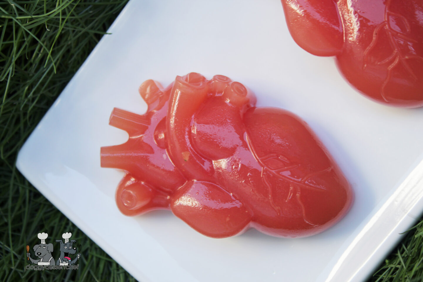 Gummy Watermelon Chicken Dog Treat Recipe