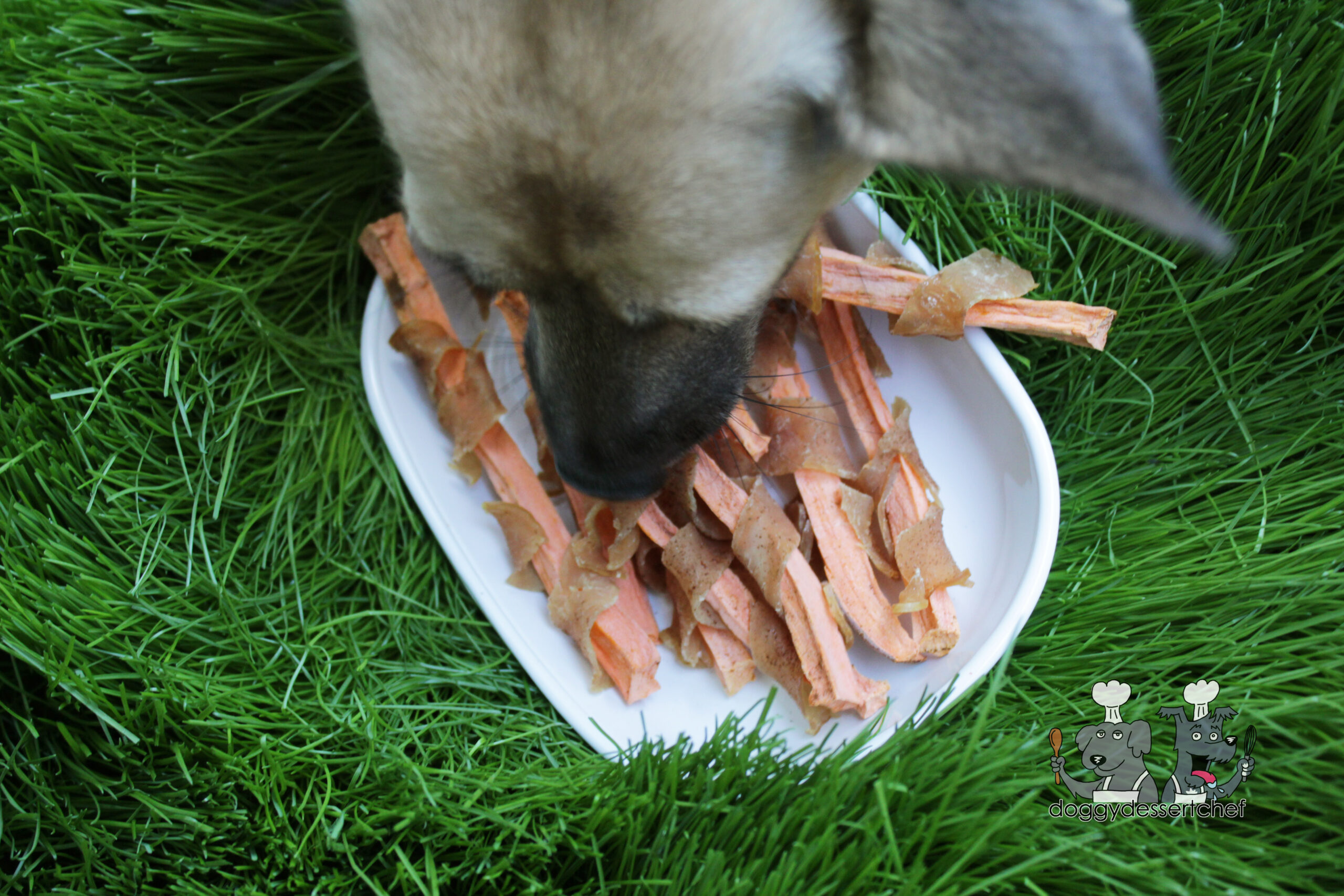 Turkey Wrapped Sweet Potato Dog Treat Recipe