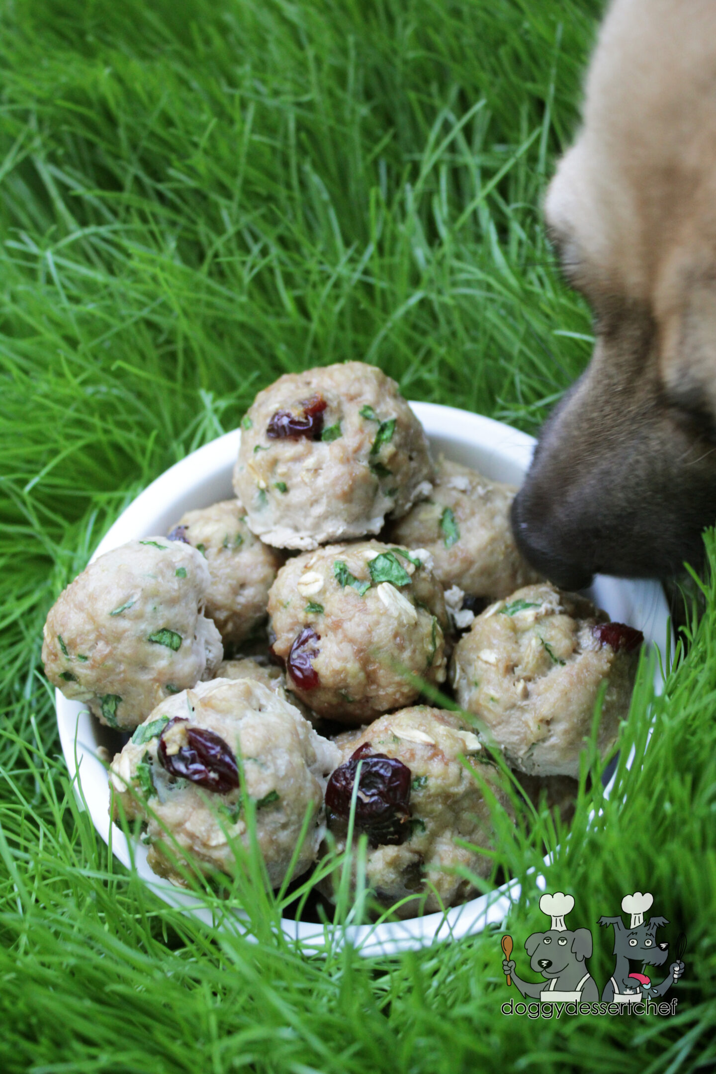 Thanksgiving Dinner Meatballs Dog Treat Recipe