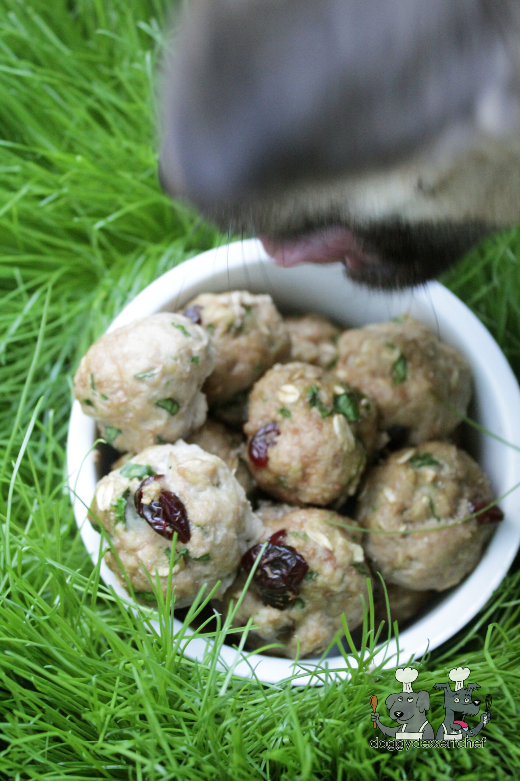 Thanksgiving Dinner Meatballs Dog Treat Recipe