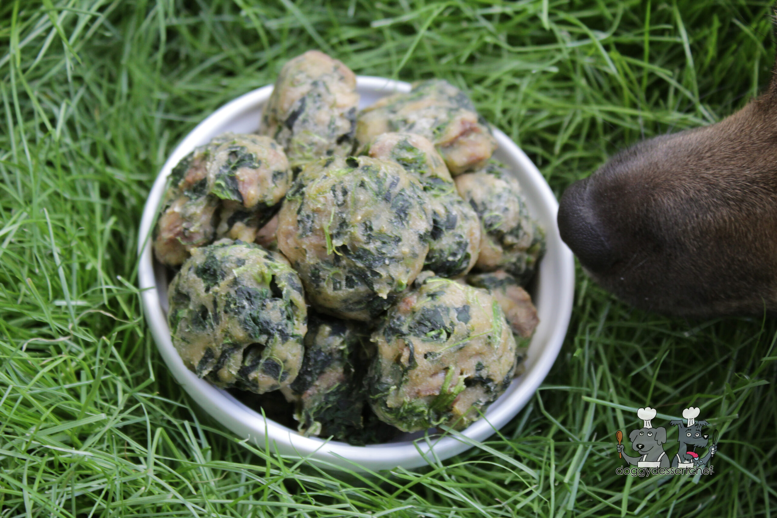 Steak and Spinach Dog Treat Recipe