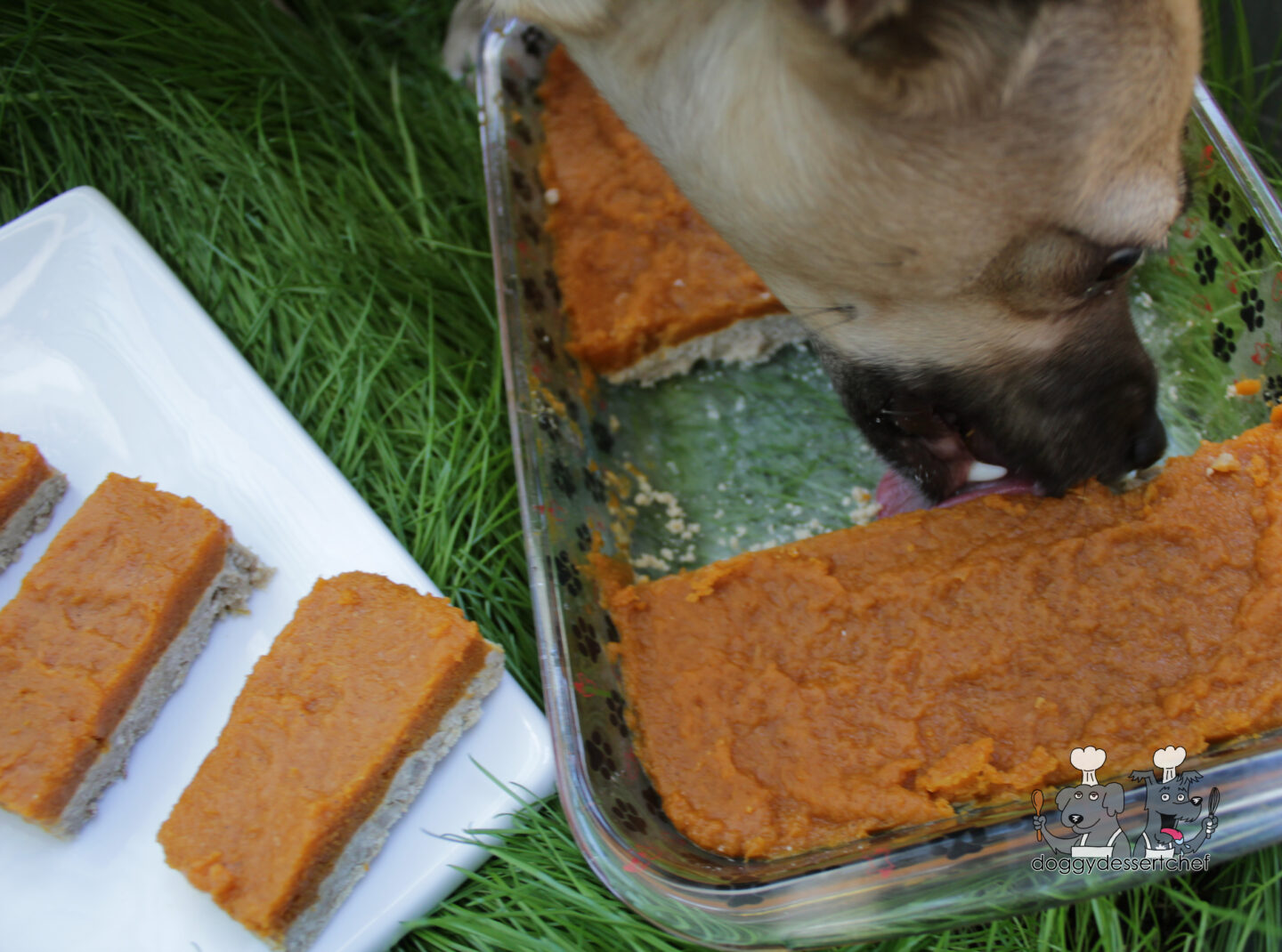 Pork & Pumpkin Bars Dog Treat Recipe