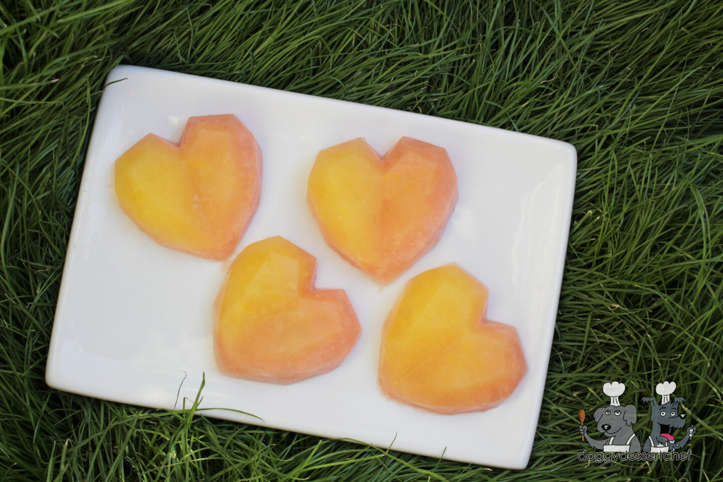 Frozen Pineapple Watermelon Dog Treat Recipe