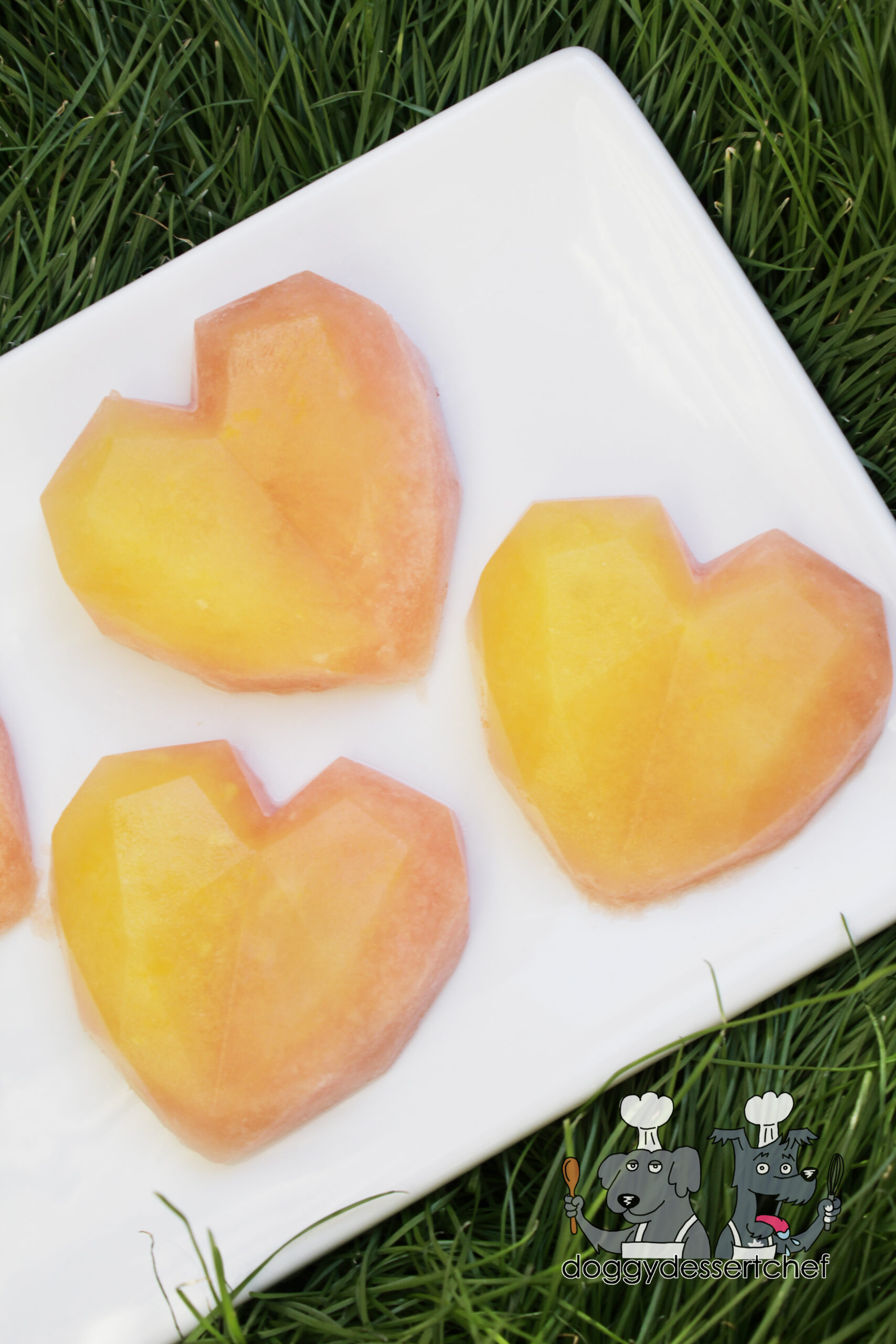 Frozen Pineapple Watermelon Dog Treat Recipe