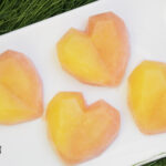 Frozen Pineapple Watermelon Dog Treat Recipe